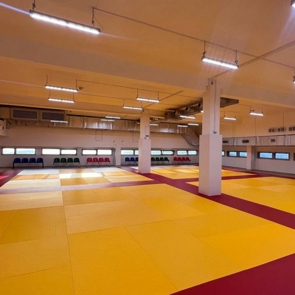 Татами JUDO 160 кг/м³